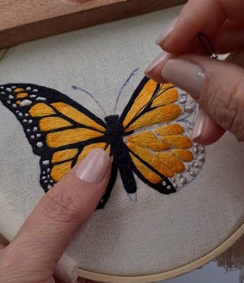 bordar mariposa paso a paso