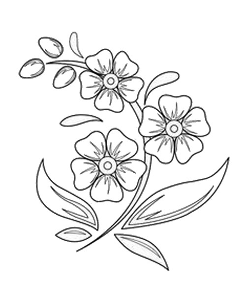 11 Dibujos para bordar flores - Bordados a Mano
