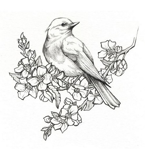 dibujo de pájaro para bordar