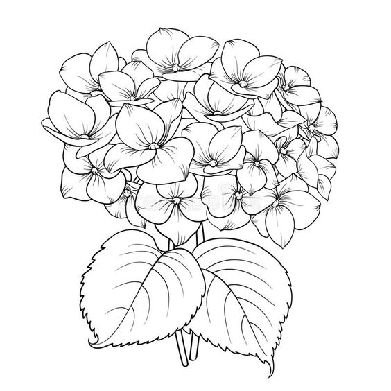 diseño bordar hortensias