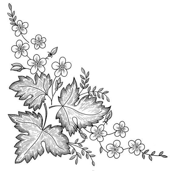 uvas y hojas de vid